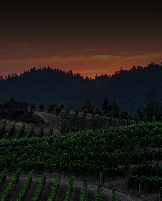 Even among the beautiful landscapes of California wine country, Pride Mountain Vineyards stands out as a special place. To capture...