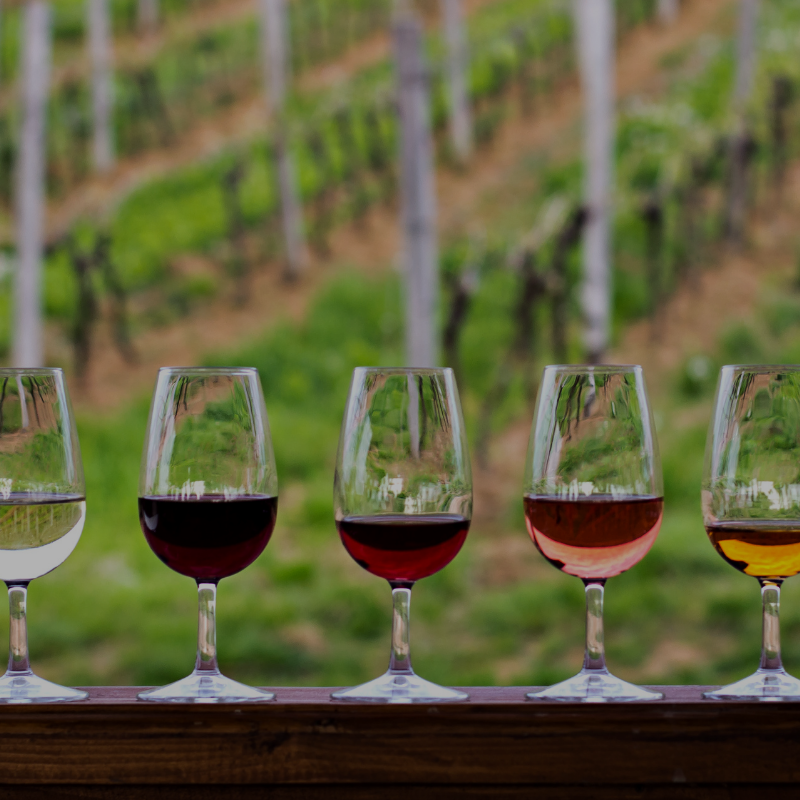 wine, wineries website